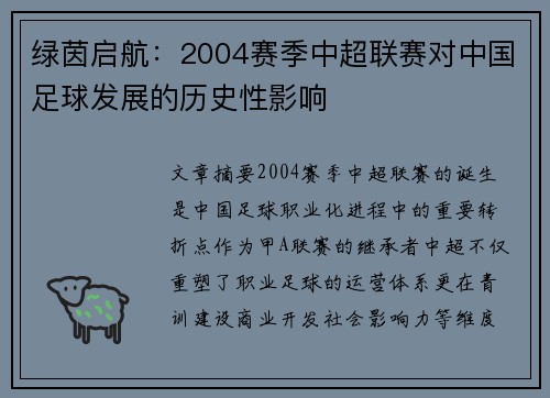 绿茵启航：2004赛季中超联赛对中国足球发展的历史性影响
