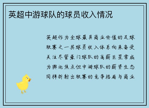 英超中游球队的球员收入情况